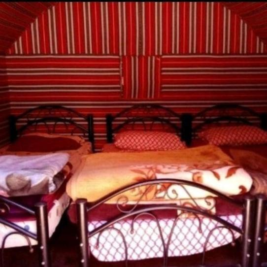 Bedouin Family Camp Ξενοδοχείο Ουάντι Ραμ Εξωτερικό φωτογραφία