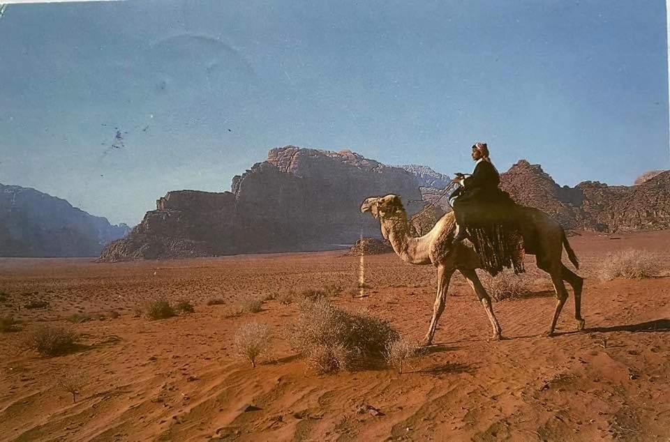 Bedouin Family Camp Ξενοδοχείο Ουάντι Ραμ Εξωτερικό φωτογραφία